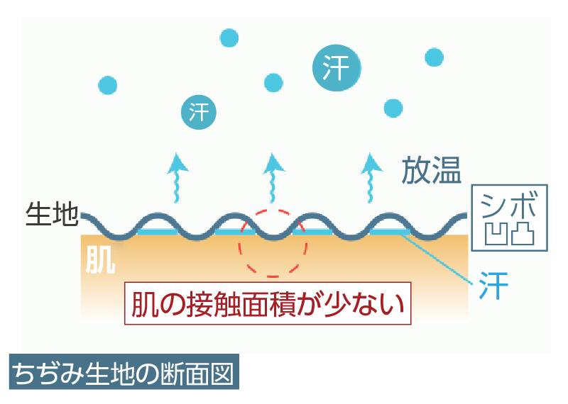 高島ちぢみが涼しい理由