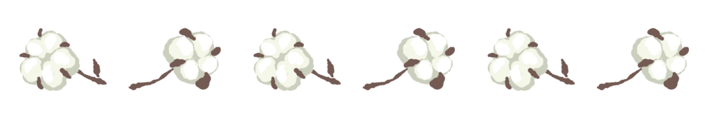 綿花のイラスト